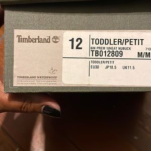 Toddler/Petit Timberland